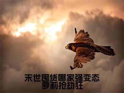 闻笙小说免费阅读无弹窗，小说名字是：末世囤货哪家强变态萝莉抢劫狂的小说在线阅读无删减