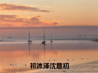 沈意初祁沐泽小说最新章节阅读-祁沐泽沈意初全文免费试读