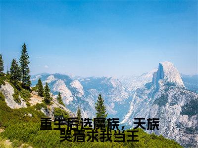 任意小说全文免费阅读_重生后选魔族，天族哭着求我当王（任意）最新章节列表笔趣阁