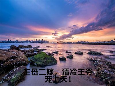 主母二嫁，清冷王爷宠上天！（姜婉秋萧逸）全文阅读_小说主母二嫁，清冷王爷宠上天！免费阅读（姜婉秋萧逸）笔趣阁