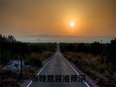 秦晚意裴准景深小说秦晚意裴准景深全文免费阅读无弹窗-正版小说（秦晚意裴准景深）秦晚意裴准景深全文阅读