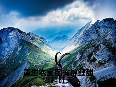 （重生农家团宠锦鲤甜妻超旺夫）吴诩冉禾新书热荐免费小说-吴诩冉禾小说全文完整版阅读