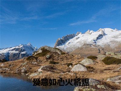 爱意如心火将熄全文免费阅读_（萧煜臣祝瑄免费阅读无弹窗）萧煜臣祝瑄最新章节列表笔趣阁
