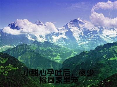 小甜心孕吐后，夜少捡回家里宠（夜少霆云笙全文免费阅读）小说最新章节_小甜心孕吐后，夜少捡回家里宠全文免费阅读最新章节列表_笔趣阁