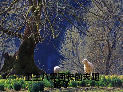 周颂年郑竹心（重生八零团长前夫跑路了）全文免费阅读无弹窗大结局_重生八零团长前夫跑路了（周颂年郑竹心免费阅读）_笔趣阁