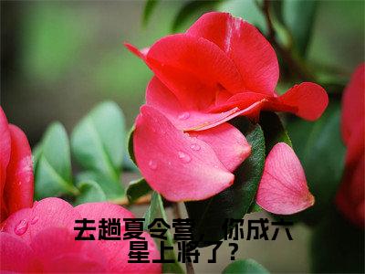 去趟夏令营，你成六星上将了？（张岩）全本完整版免费阅读_（去趟夏令营，你成六星上将了？）张岩全文章节目录_笔趣阁