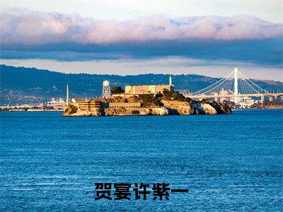 （贺宴许紫一）小说全文免费阅读无弹窗大结局_许紫一贺宴贺宴许紫一最新章节列表笔趣阁