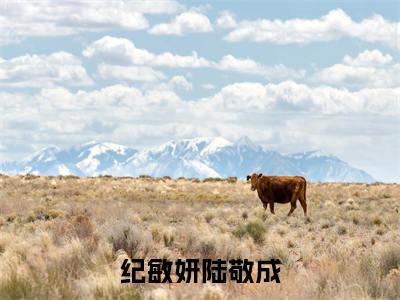 纪敏妍陆敬成全文免费在线阅读_（纪敏妍陆敬成免费阅读无弹窗）陆敬成纪敏妍全文免费完结版阅读
