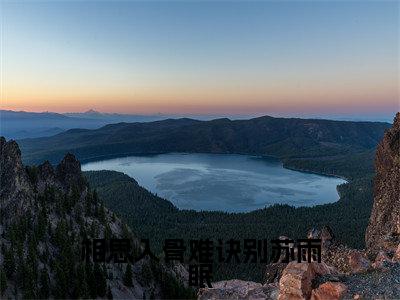 相思入骨难诀别苏雨眠（龚季泽苏雨眠）全文免费阅读无弹窗_龚季泽苏雨眠最新小说_笔趣阁