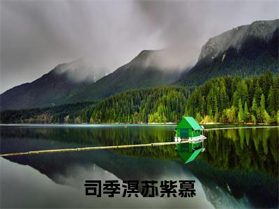 司季溟苏紫慕全文免费阅读无弹窗大结局_（苏紫慕司季溟）司季溟苏紫慕热门章节在线阅读笔趣阁（苏紫慕司季溟）