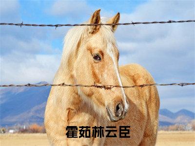 林云臣霍茹（霍茹林云臣）新上热文免费阅读-林云臣霍茹（霍茹林云臣）无广告在线阅读