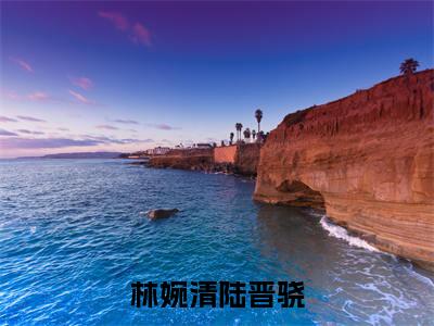 林婉清陆晋骁（林婉清陆晋骁）全文免费阅读无弹窗大结局_（林婉清陆晋骁无弹窗）林婉清陆晋骁最新章节列表阅读_笔趣阁