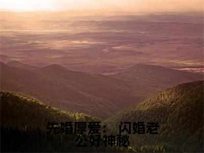 先婚厚爱： 闪婚老公好神秘（莫小陶）全文免费阅读无弹窗_莫小陶最新小说精彩推荐