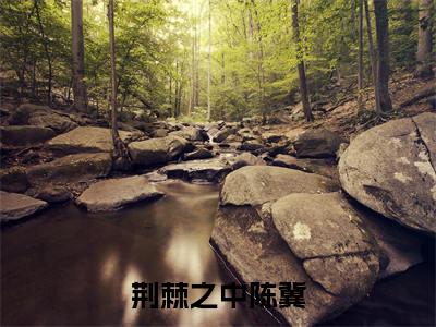 荆棘之中陈冀小说（白希陈冀）全文免费阅读-荆棘之中陈冀全文阅读无弹窗