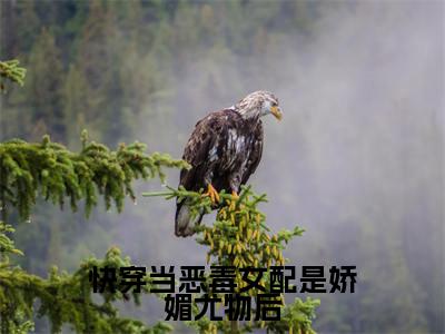 快穿当恶毒女配是娇媚尤物后小说（叶皎月）免费阅读全文无弹窗大结局_叶皎月免费阅读无弹窗小说_小说笔趣阁