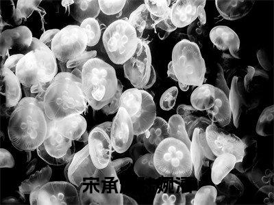 宋承渊陆婉清（宋承渊陆婉清）全文免费阅读无弹窗大结局_宋承渊陆婉清最新章节列表（宋承渊陆婉清）