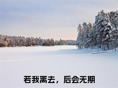 若我离去，后会无期全文最新章节（秦夏白）全文免费阅读无弹窗大结局_秦夏白免费阅读