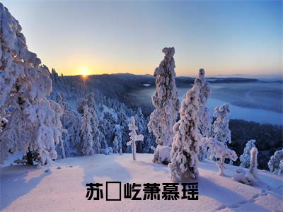 苏璟屹萧慕瑶小说全文免费阅读无弹窗-（苏璟屹萧慕瑶阅读无弹窗）穿越小说免费阅读_笔趣阁