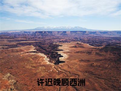 顾西洲许迟晚小说全文无删减-许迟晚顾西洲顾西洲许迟晚小说大结局免费阅读