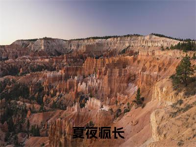 何青夏严续小说（夏夜疯长已完结小说全集完整版大结局）夏夜疯长小说全文阅读笔趣阁