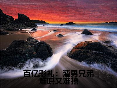 百亿彩礼：渣男兄弟难哄又难撩（傅怀瑾苏瑜兮）全文免费阅读无弹窗大结局_百亿彩礼：渣男兄弟难哄又难撩（傅怀瑾苏瑜兮免费小说）最新章节列表笔趣阁