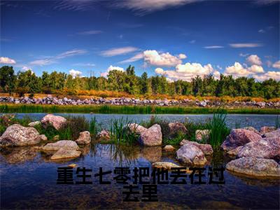 重生七零把他丢在过去里小说（陆辞澜温以橖）免费阅读全文无弹窗大结局_陆辞澜温以橖免费阅读无弹窗小说_小说笔趣阁