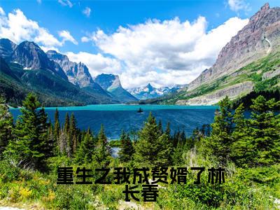 重生之我成赘婿了林长春（林长春）全文免费阅读无弹窗大结局_（重生之我成赘婿了林长春）最新章节列表_林长春