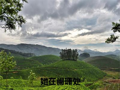 陆晏浔姜溪晚（她在阑珊处）小说最后结局-（她在阑珊处）完结版免费阅读