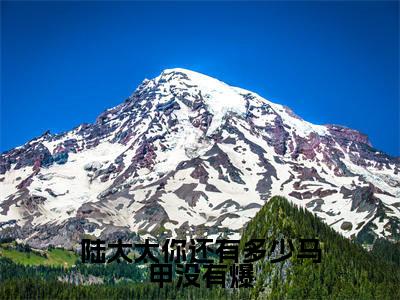 小说《陆太太你还有多少马甲没有爆》全文免费阅读无弹窗-陆衍霆乔鸢小说全文在线赏析_笔趣阁