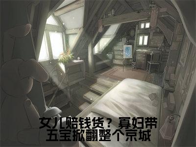 女儿赔钱货？寡妇带五宝掀翻整个京城（云娘）小说全文免费_女儿赔钱货？寡妇带五宝掀翻整个京城小说（云娘）最新章节目录笔趣阁