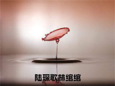 陆琛歌林绾绾全文（林绾绾陆琛歌）全文免费阅读无弹窗大结局_林绾绾陆琛歌全文最新章节列表