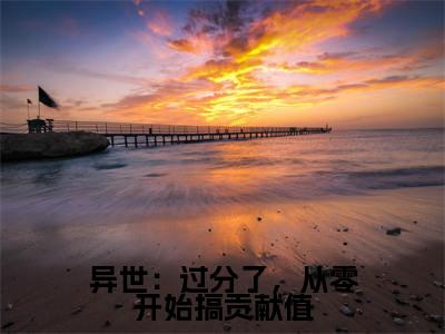 小说异世：过分了，从零开始搞贡献值完整版在线阅读安酒精选小说推荐试读