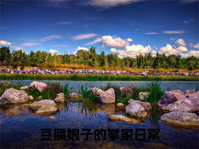 豆腐娘子的掌家日常精彩小说（李云溪沈奎）在哪免费看-小说（李云溪沈奎）全文完整版免费阅读