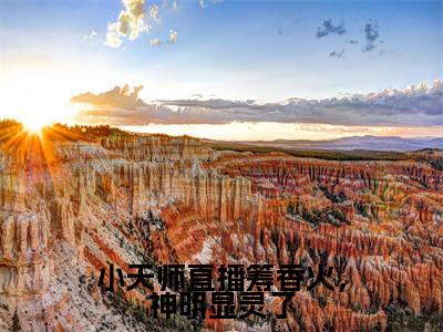 芽芽小说（小天师直播筹香火，神明显灵了）完整版小说阅读_芽芽全本列表免费笔趣阁