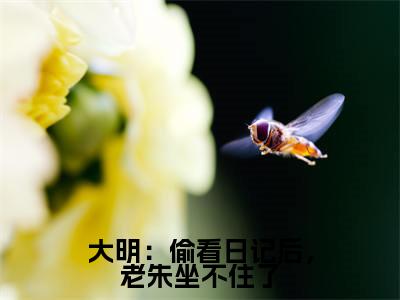 大明：偷看日记后，老朱坐不住了热文小说全文阅读-精彩美文周宣免费阅读