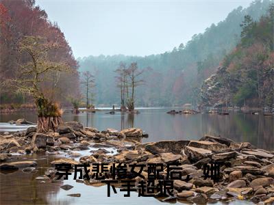 萧廷琛郝妮儿（穿成悲惨女配后，她下手超狠）全文免费阅读_萧廷琛郝妮儿（穿成悲惨女配后，她下手超狠）免费在线阅读_笔趣阁