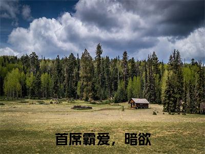 首席霸爱，暗欲全文小说（傅姝寒薄肆）在线阅读无弹窗大结局_傅姝寒薄肆全文在线阅读无弹窗