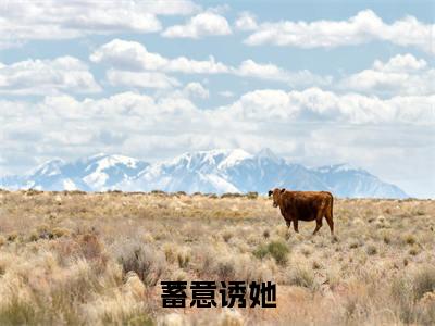 许淮之江若瑶蓄意诱她老书虫推荐小说免费阅读_（许淮之江若瑶）完整版全文在线赏析