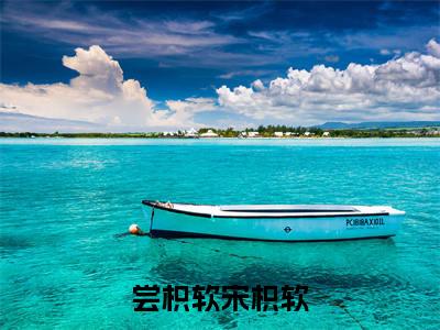（番外）+（全文）尝枳软宋枳软小说免费下载阅读_（尝枳软宋枳软）晏骜川宋枳软最新章节列表_笔趣阁（晏骜川宋枳软）