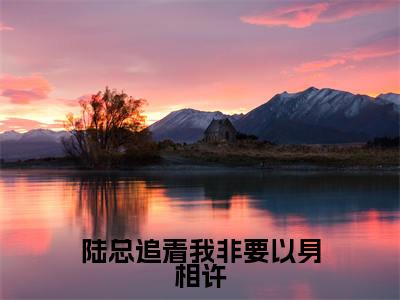 小说陆总追着我非要以身相许（沈芊芊陆霆夜）全文免费阅读-最火热门小说陆总追着我非要以身相许最新章节更新