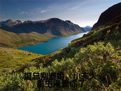 盛总别退婚，小夫人重生来爱你了（盛祈年洛千渝）全文免费阅读无弹窗大结局_盛总别退婚，小夫人重生来爱你了最新章节列表_笔趣阁