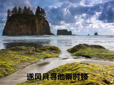 宋清欢秦时臻遂风月寻他秦时臻小说在哪里可以看遂风月寻他秦时臻免费在线阅读