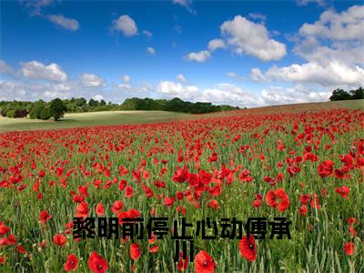 沈念傅承川（黎明前停止心动傅承川）全文免费阅读无弹窗_沈念傅承川最新小说_笔趣阁