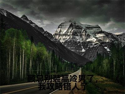 顾总别装高冷男了，我攻略错人了热门小说目录推荐苏堇顾行泽全文完整版阅读