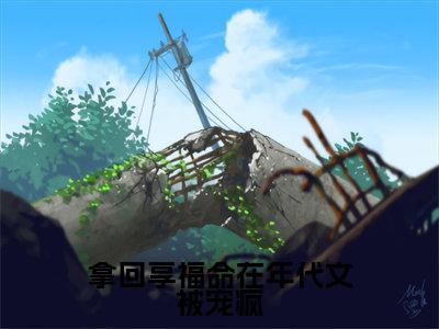豆甜（拿回享福命在年代文被宠疯）小说全文无删减版在线阅读_拿回享福命在年代文被宠疯（豆甜无弹窗）_笔趣阁