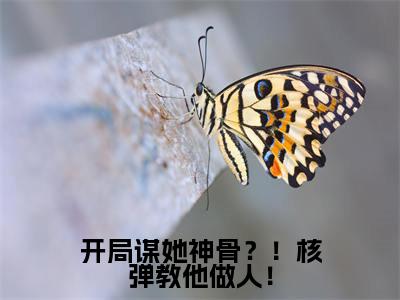 蕊蕊是什么小说-小说开局谋她神骨？！核弹教他做人！全文阅读