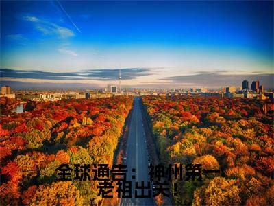 叶凡（全球通告：神州第一老祖出关！）全文免费阅读无弹窗大结局_叶凡最新章节列表_笔趣阁