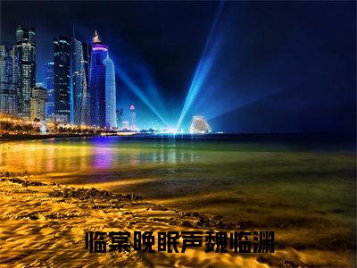 临棠晚眠声魏临渊小说免费阅读全文小说高棠魏临渊全章节阅读