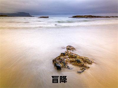 谈承之全集小说（盲降）全文免费阅读无弹窗大结局_谈承之最新章节列表_笔趣阁（盲降）