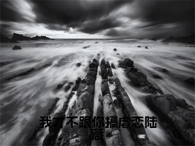 言修聿陆箴（我才不跟你搞虐恋陆箴）全文免费阅读无弹窗大结局_言修聿陆箴免费阅读无弹窗最新章节列表_笔趣阁（言修聿陆箴）
